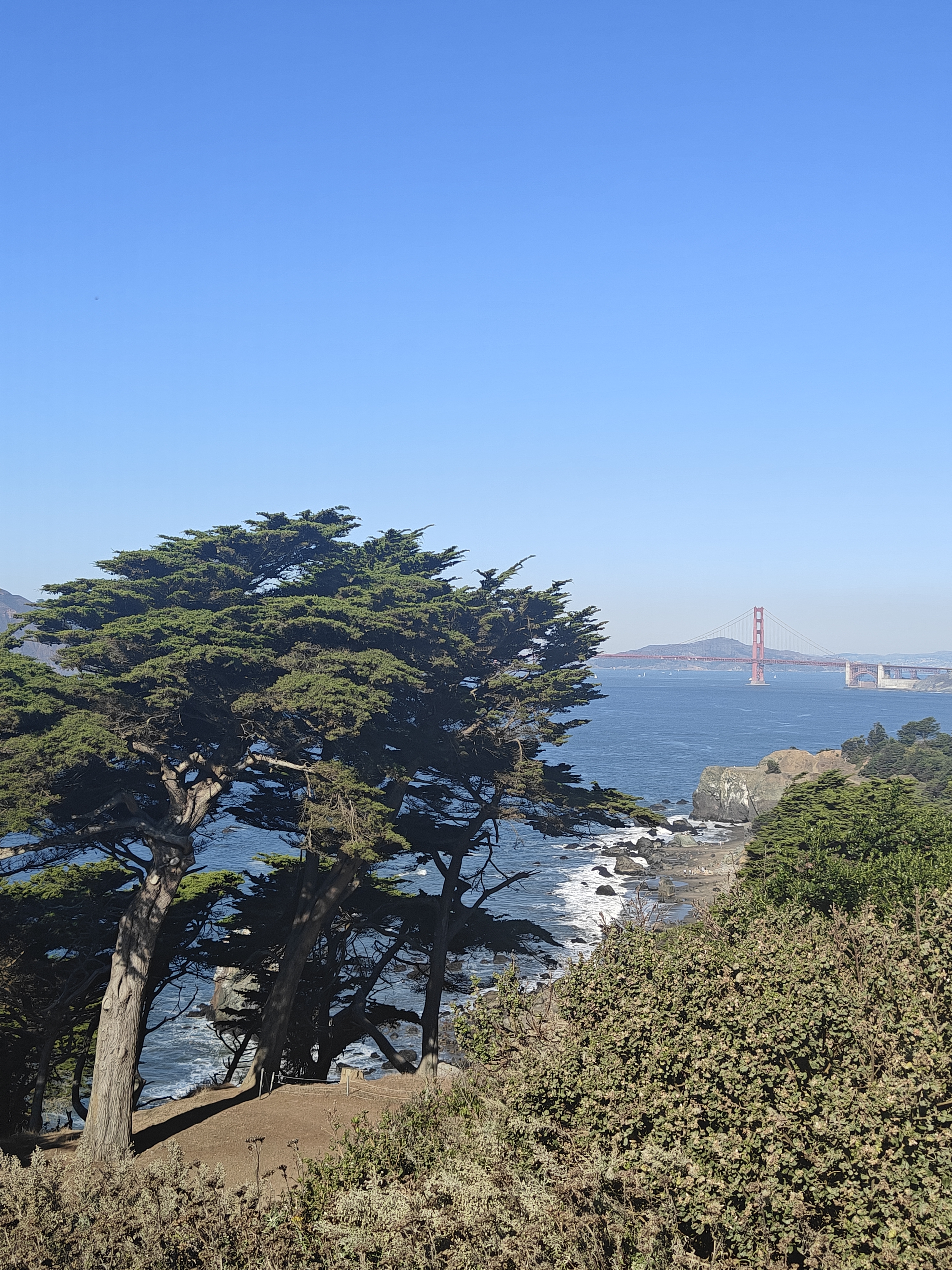 A bridge from the view