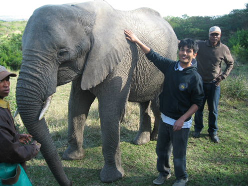 Meeting an elephant in South Africa!